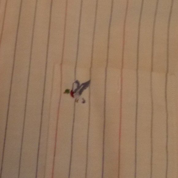 EUC Men's cream stripe shirt XXL by Raintree - Picture 2 of 4